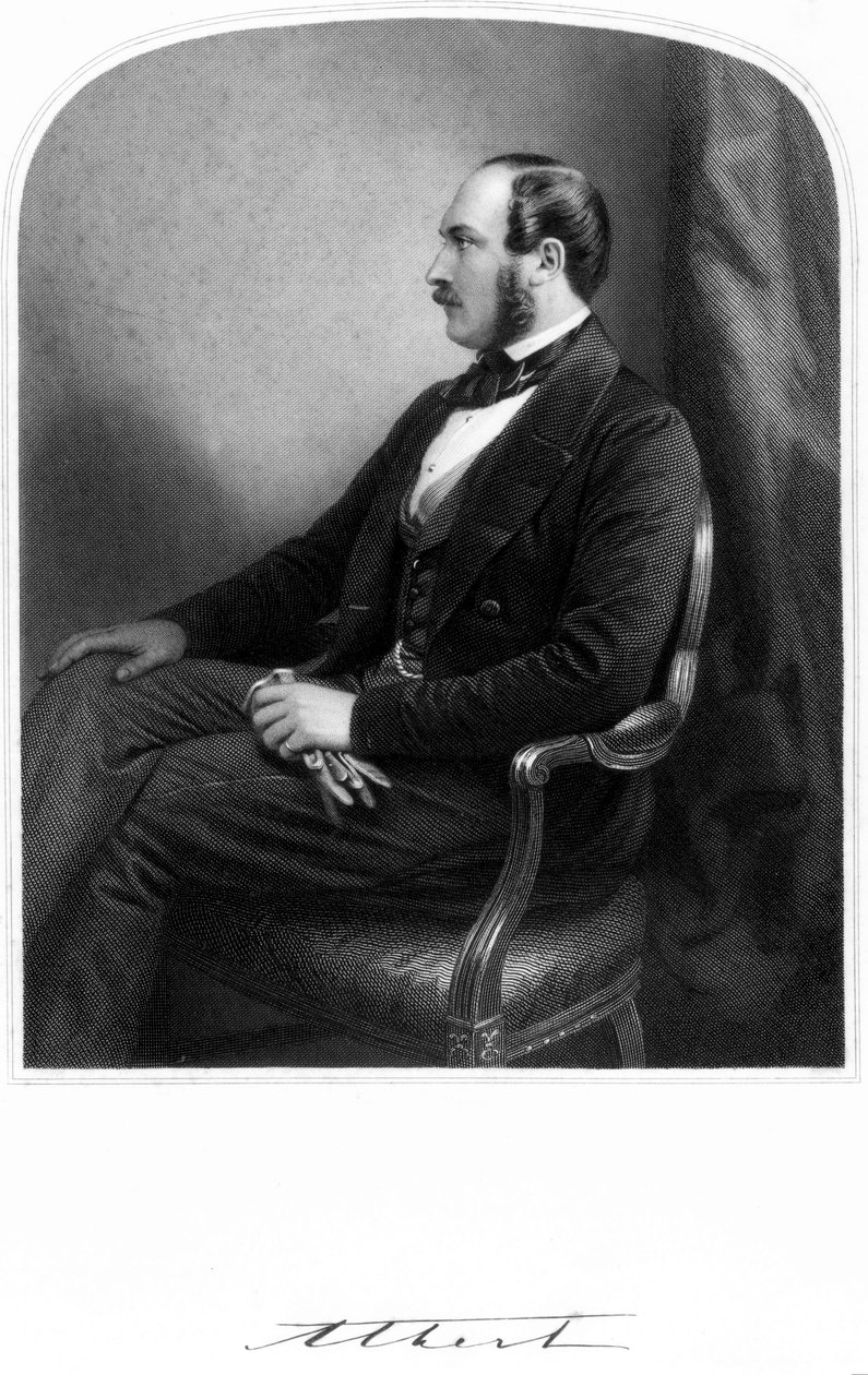 Princ Albert, choť královny Viktorie, c 1850-1859 od Unbekannt