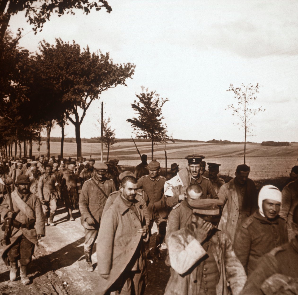 Vězni, Champagne, severní Francie, c1914-c1918 od Unbekannt