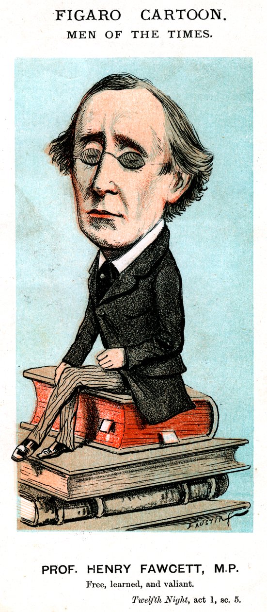 Prof Henry Fawcett, MP, c19. století od Unbekannt
