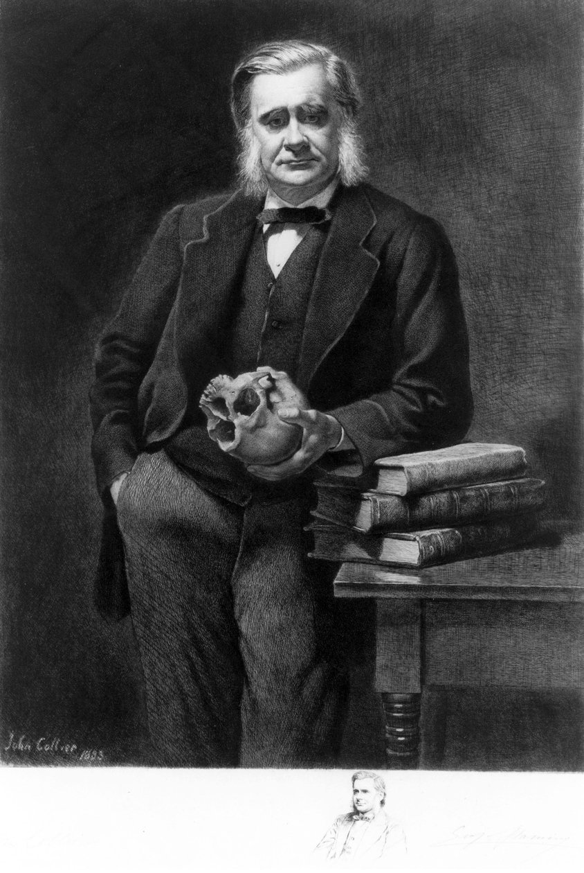 Profesor Thomas Henry Huxley, anglický biolog od Unbekannt