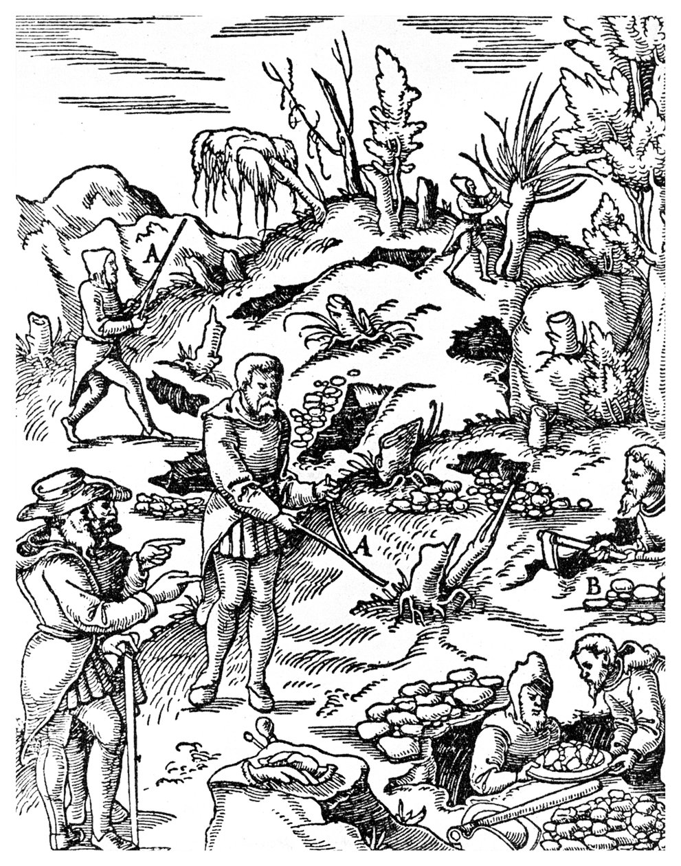 Hledání kovů, 1556 1956 od Unbekannt