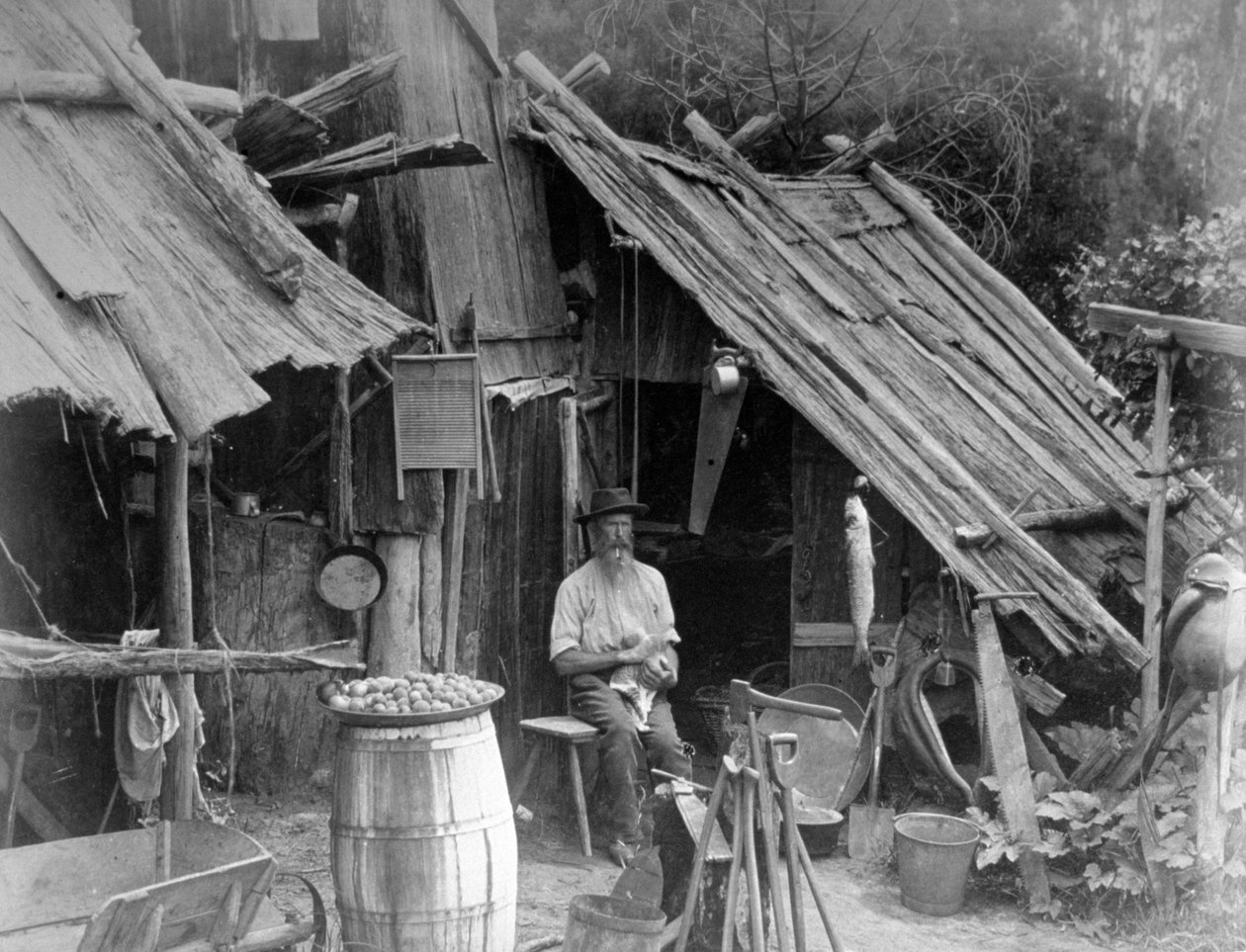 Prospector, Gippsland, Victoria, Austrálie, 1886 od Unbekannt