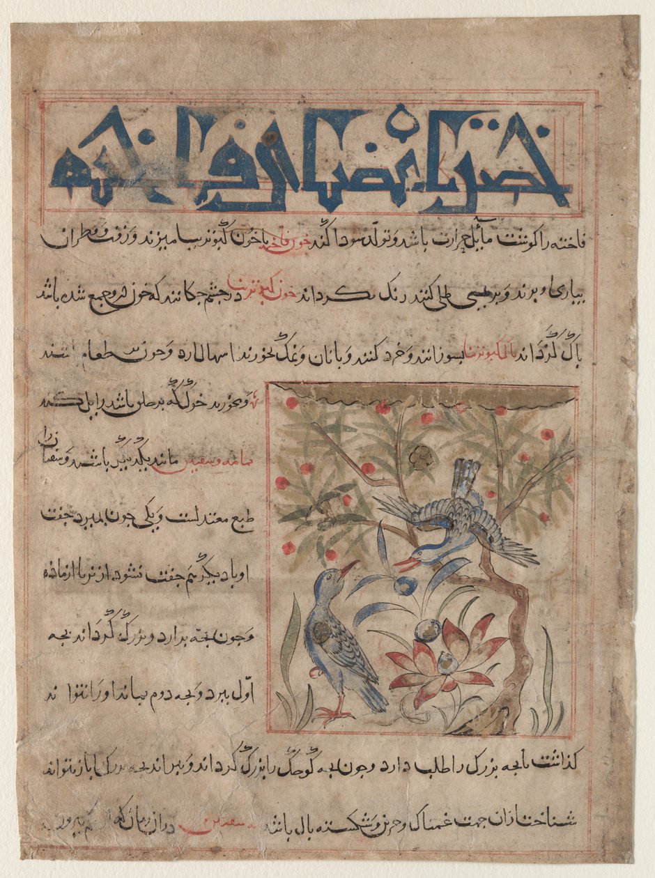 Vlastnosti Ringdoves recto, O výhodách křepelek verso..., c. 1300. od Unbekannt