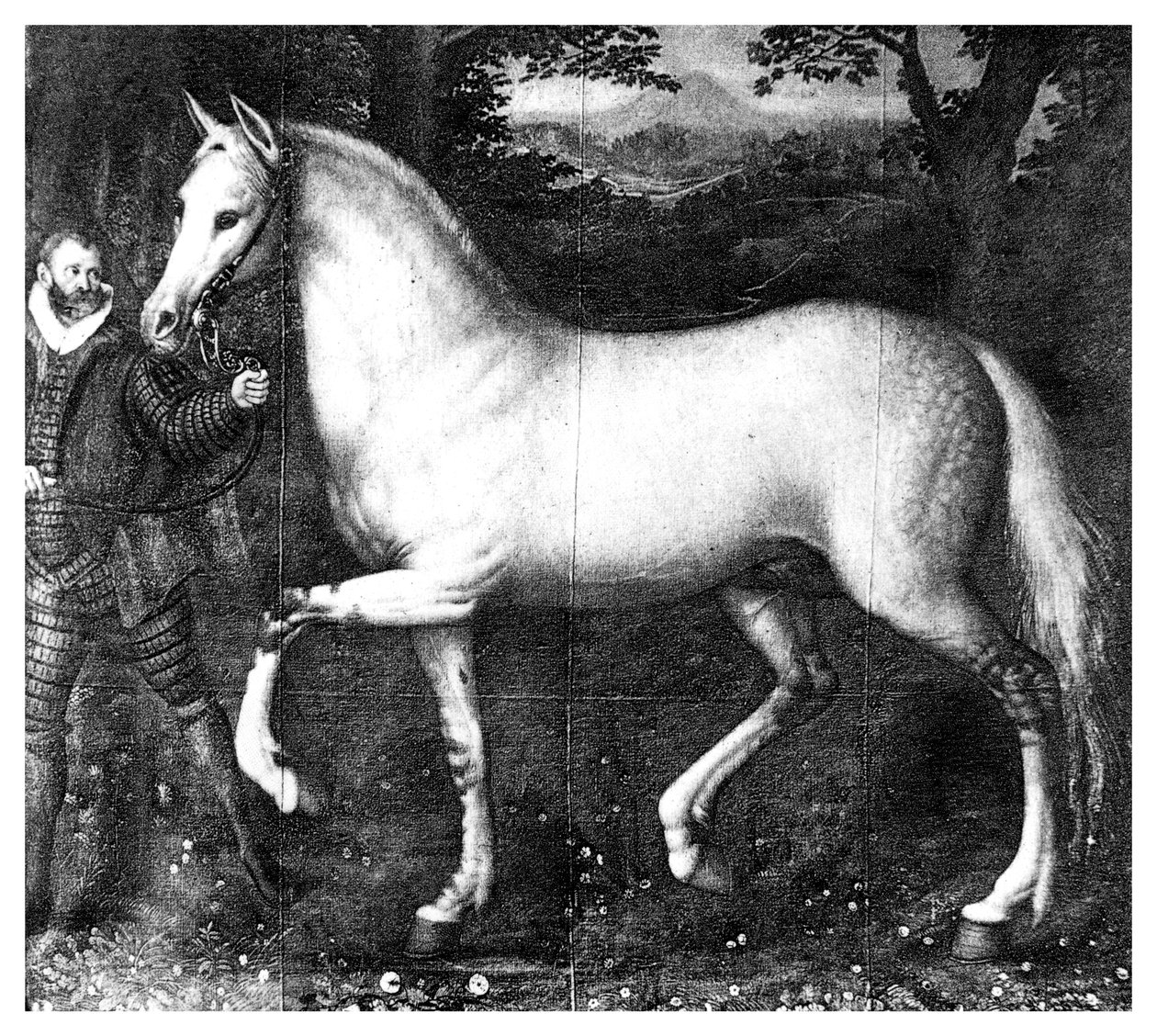 Královna Alžběta je kůň, 1896 od Unbekannt