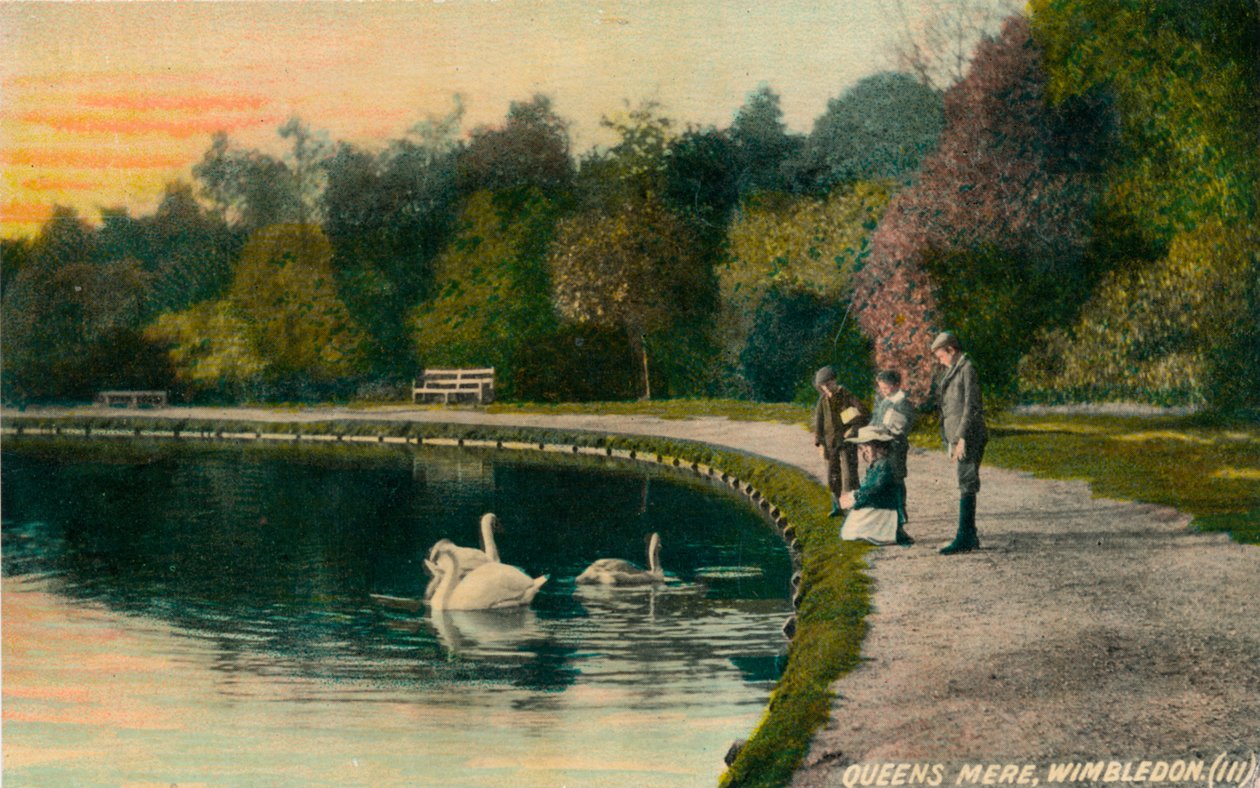 Queens Mere, Wimbledon, c1910 od Unbekannt
