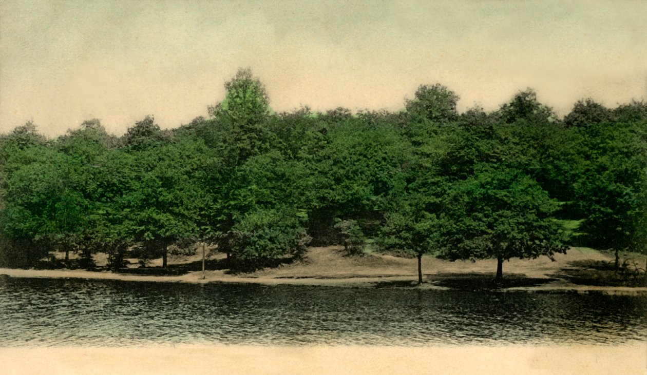 Queensmere, Wimbledon Common, Londýn, 1903. od Unbekannt