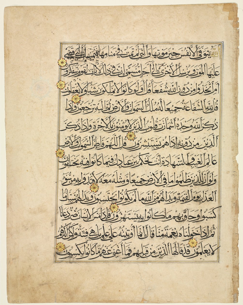 Folio s koránovým rukopisem, 1300s. od Unbekannt