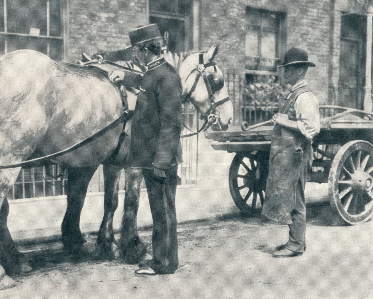 Inspektor RSPCA vyšetřující koně, c1903 1903 od Unbekannt