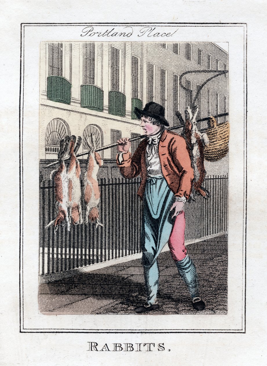 Rabbits, Portland Place, Londýn, 1805 od Unbekannt