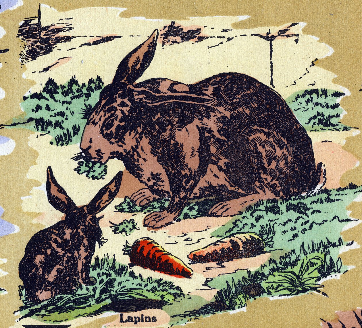 Králíci a mrkev. Ilustrovaná abeceda. Snímky se znovu spojily v Jarville-Nancy na začátku 20. století. Rozměr: 40 x 29 cm. Litografie na bistre pozadí od Unbekannt