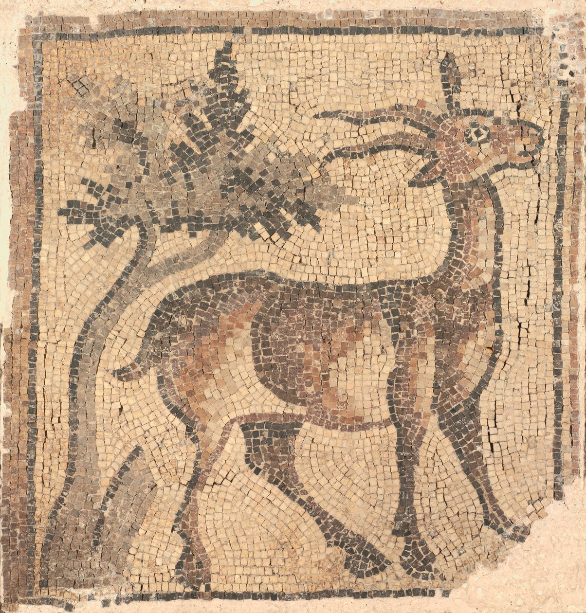 Ram near a Tree, 400s. od Unbekannt