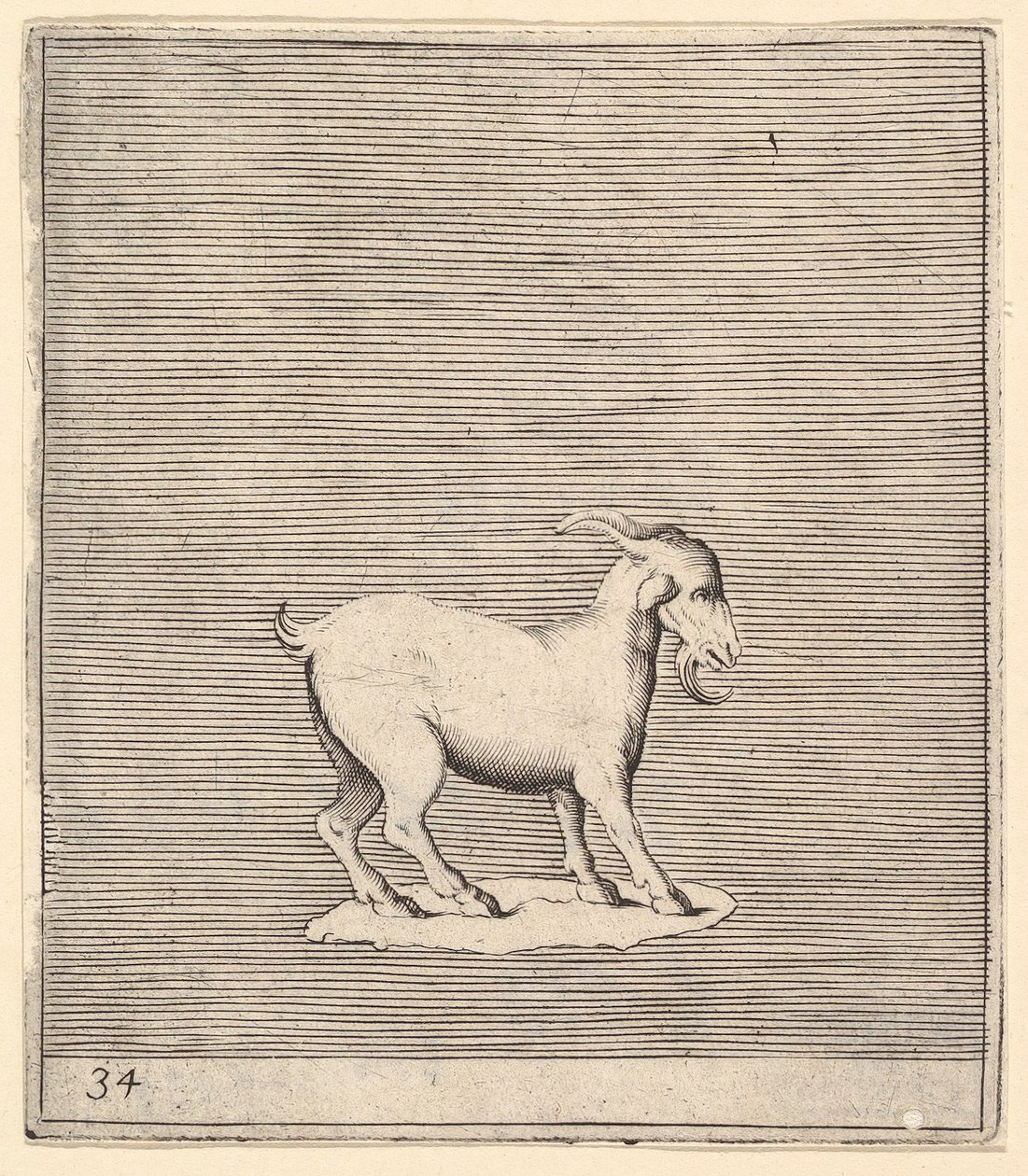Ram, publikoval ca. 1599-1622. od Unbekannt