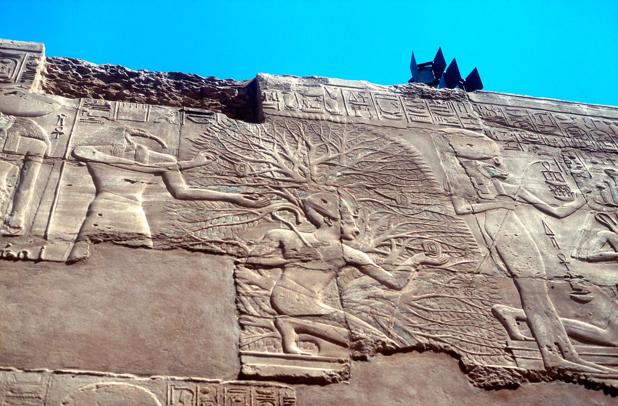 Rameses II. a Strom života, Karnak, Egypt, 13. století před naším letopočtem od Unbekannt