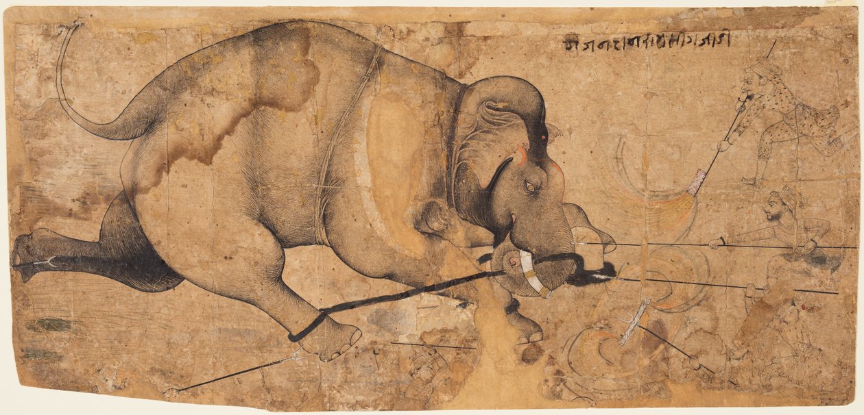 Rao Ram Singhs Elephant Gone Amok, c. 1700. od Unbekannt
