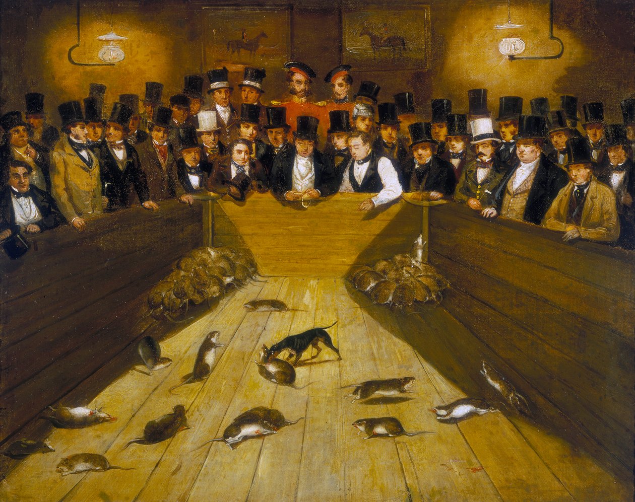 „Odlov krys v krčmě Blue Anchor Tavern, Bunhill Row, Finsbury“, c1850 od Unbekannt