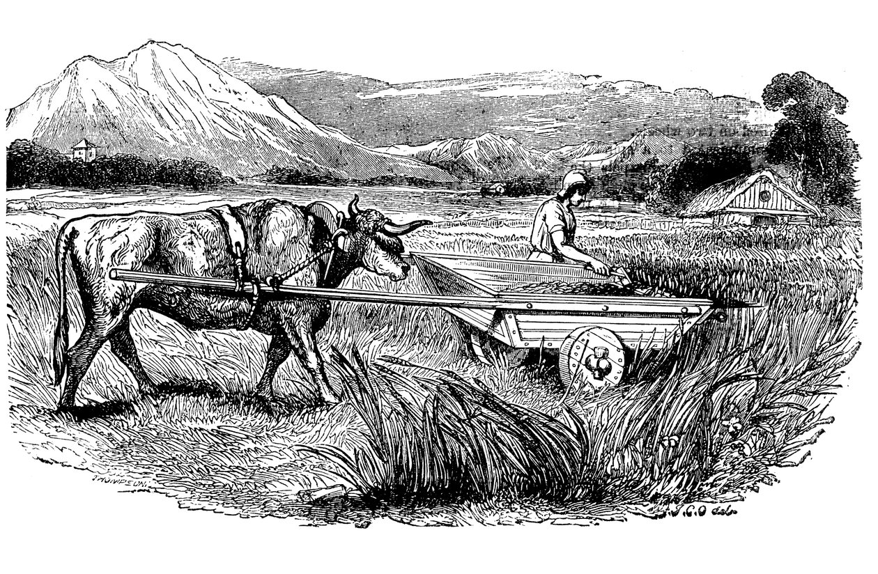 Rekonstrukce římského žacího vozu, jak ji popsal Plinius, Rytina, 1860 od Unbekannt