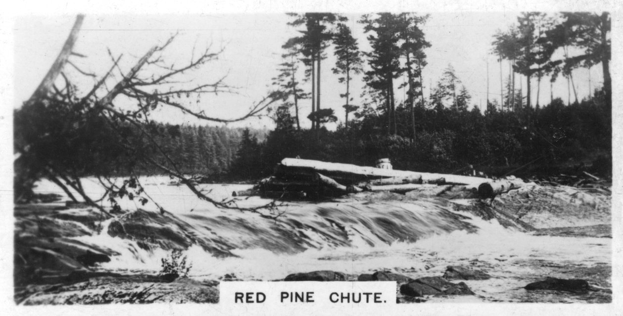 Red Pine Chute, Kanada, c1920 od Unbekannt