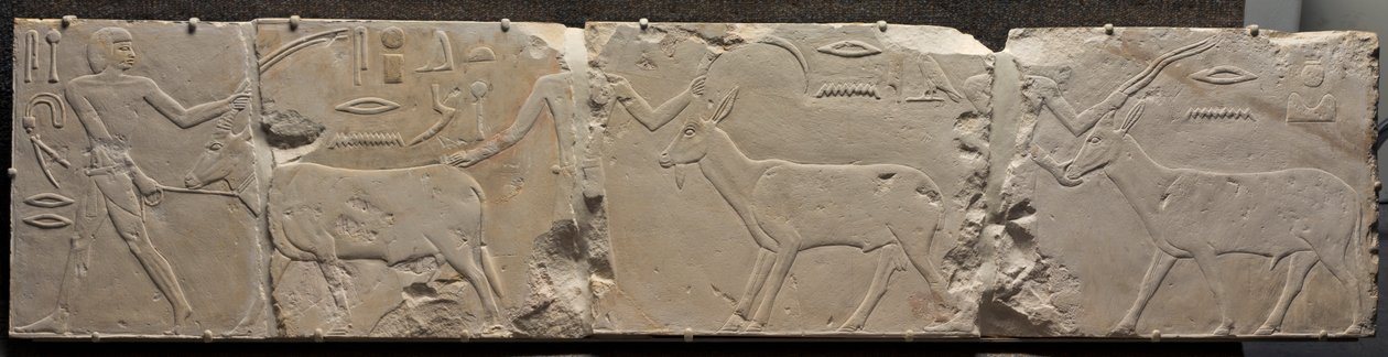 Reliéf mužů přinášejících pouštní zvířata, c. 2311-2281 před naším letopočtem. od Unbekannt