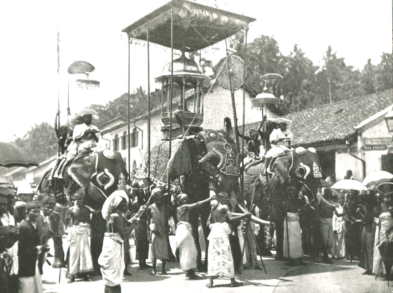 Náboženský průvod, Colombo, Cejlon, 1895. od Unbekannt