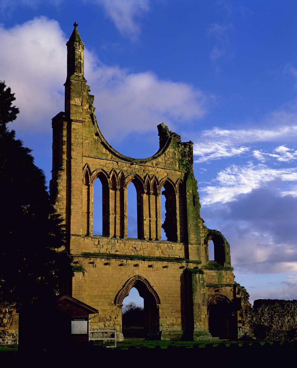 Zbytky fasády, Byland Abbey, North Yorkshire (foto) od Unbekannt