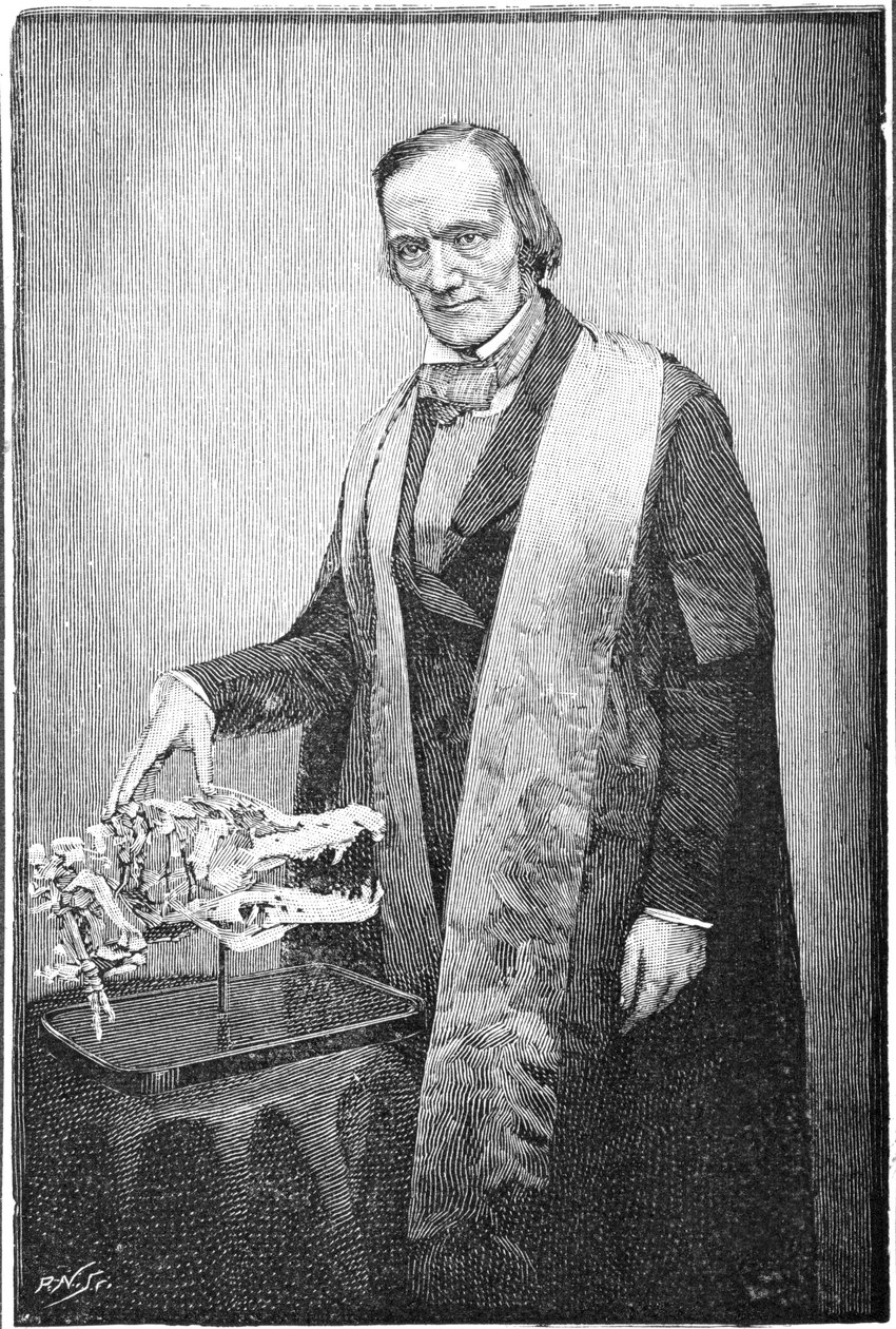 Richard Owen, britský přírodovědec, c1856 1891 od Unbekannt