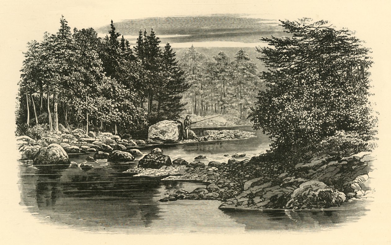River Scene, Langdale, c1890. od Unbekannt