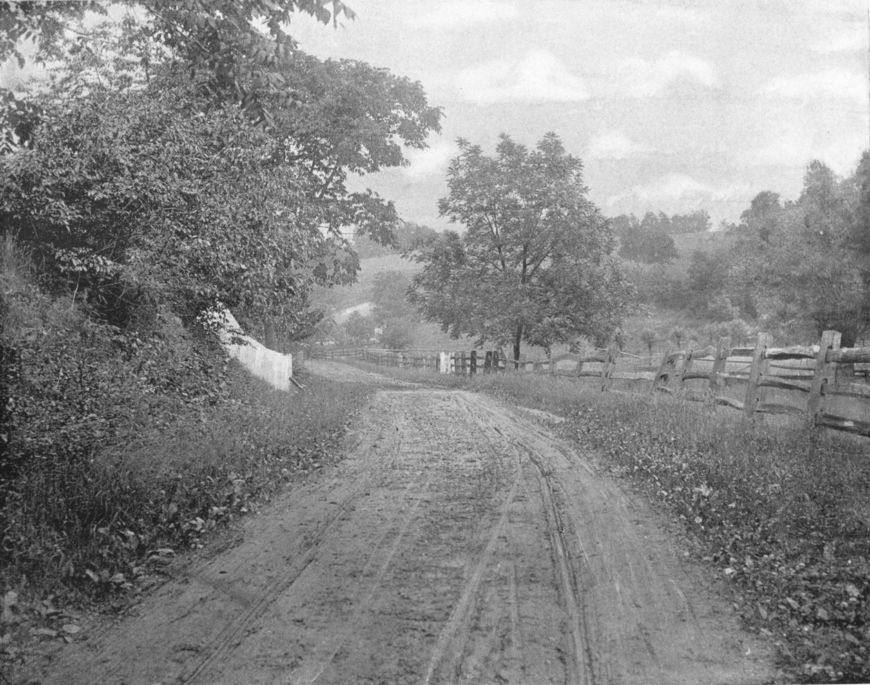 Road Alongside the Brandywine, Pennsylvania, USA, c1900. od Unbekannt