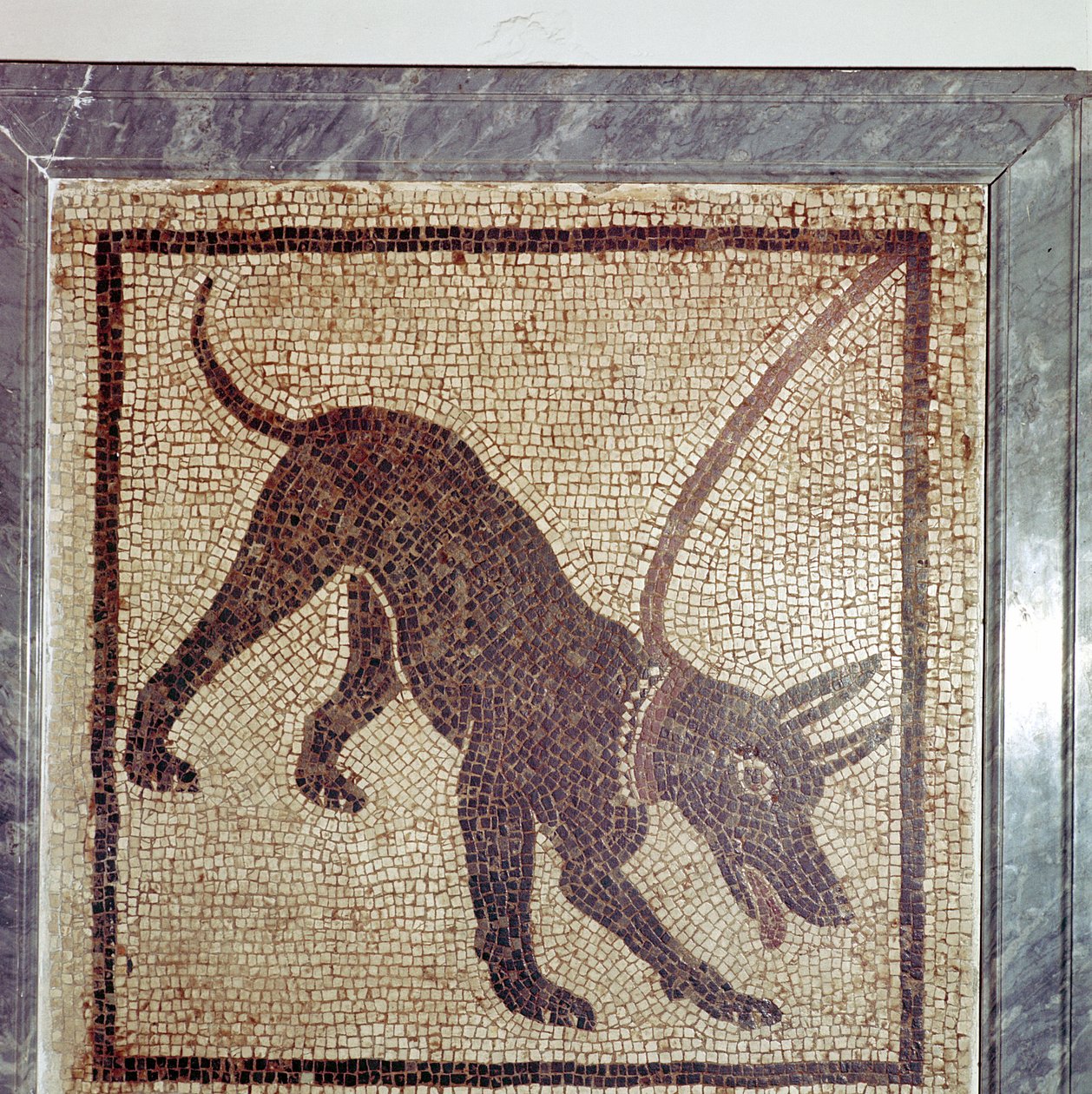 Římská mozaika psa, Cave Canem, Pompeje, Itálie od Unbekannt