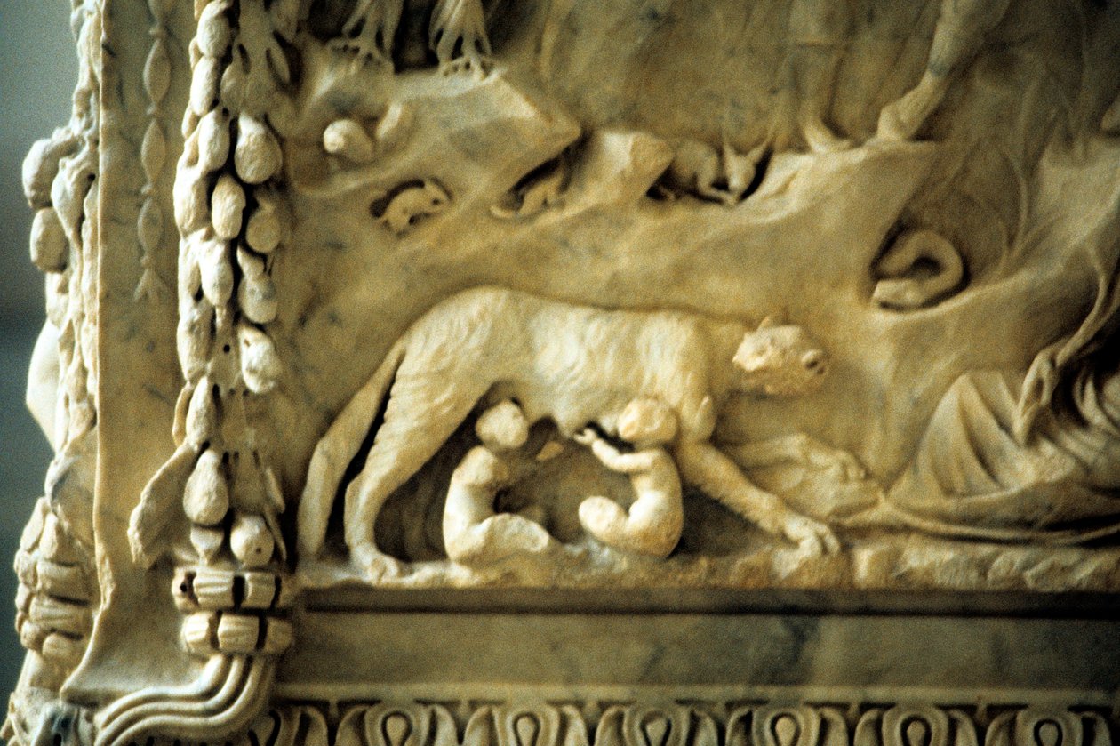 Romulus a Remus kojí z vlčice od Unbekannt