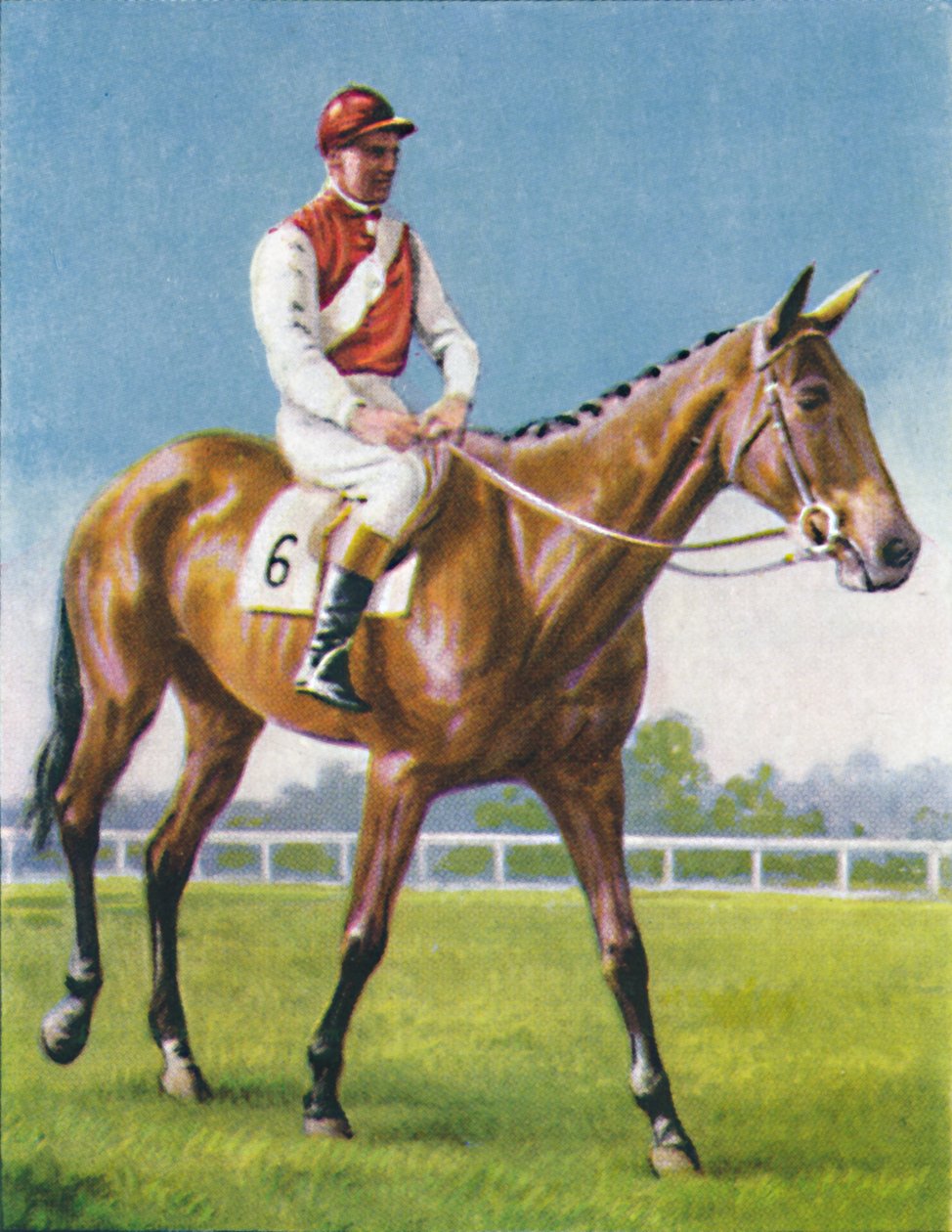 Royal Danieli, žokej: D. Moore, 1939 od Unbekannt