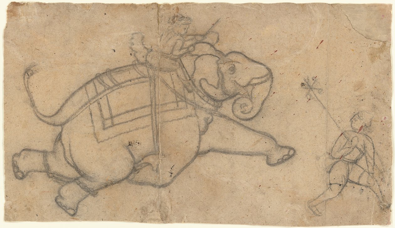 Running Elephant recto, Cvičný list náčrtů slonů verso, polovina 18. století. od Unbekannt
