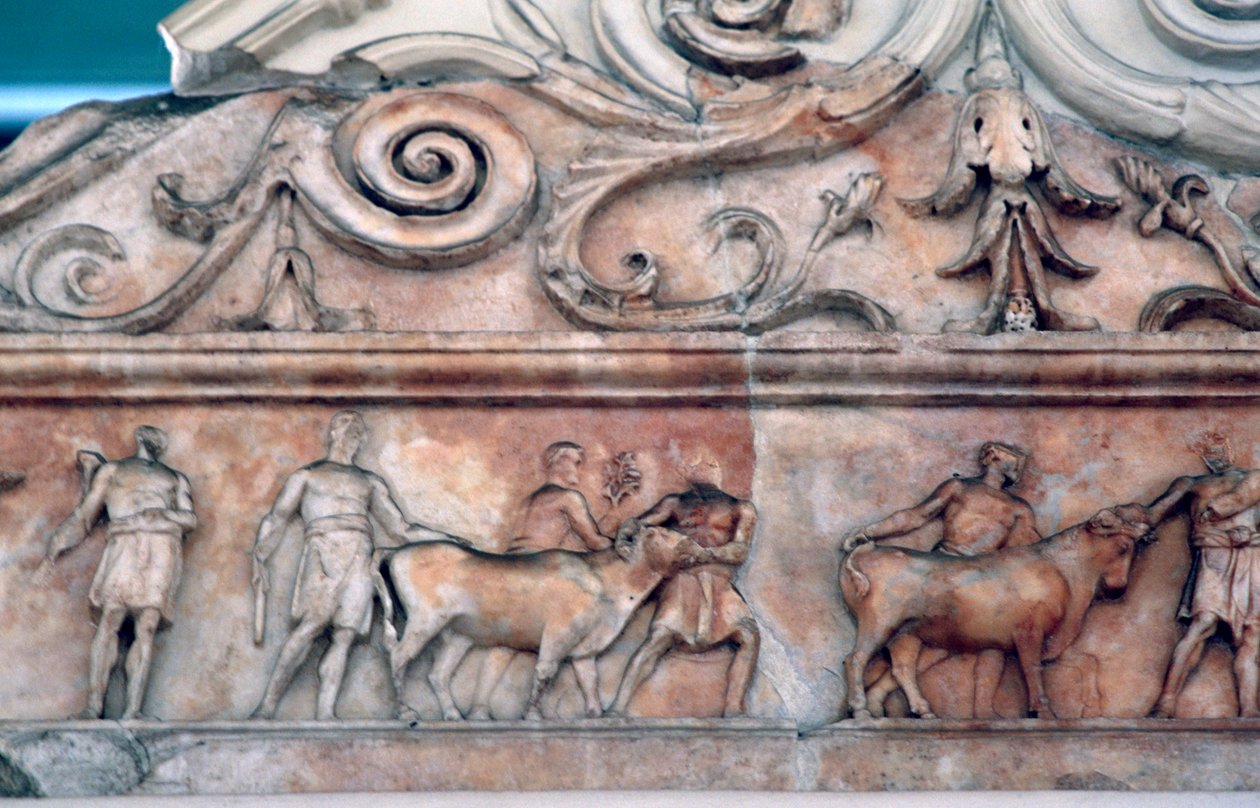 Obětní scéna na Ara Pacis, Řím od Unbekannt