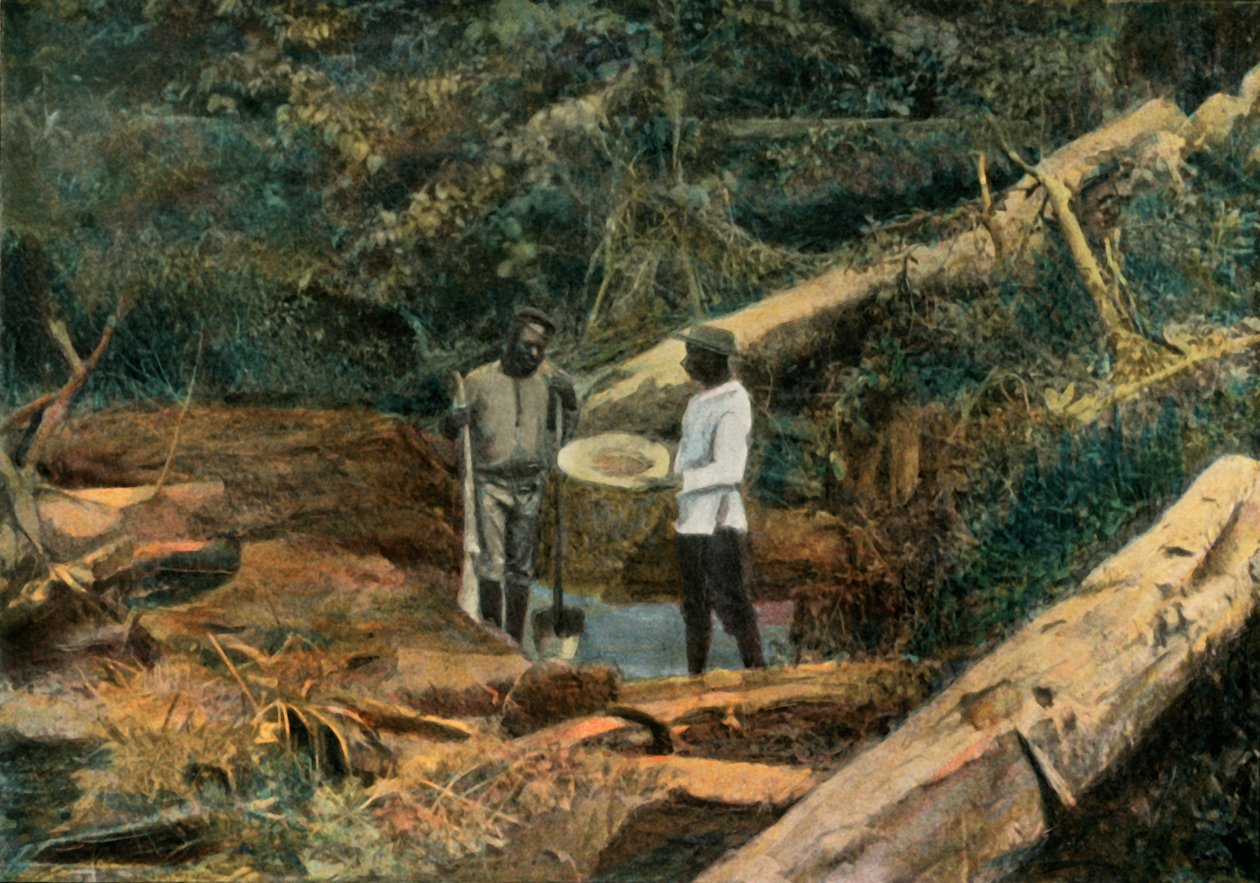 Saint-Elie. La Battee Recherche De LOr, Rýžování zlata, 1900. od Unbekannt
