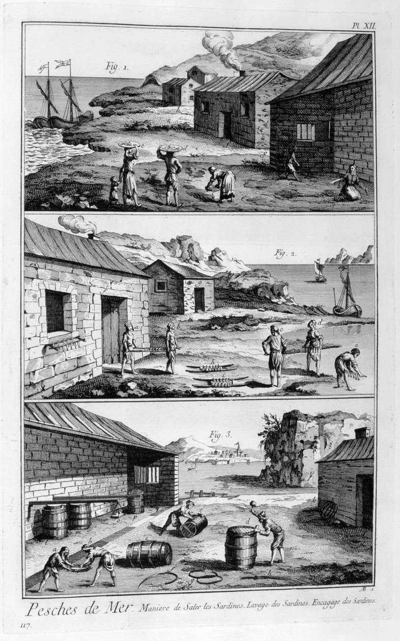 Solení, mytí, balení sardinek, 1751-1777 od Unbekannt