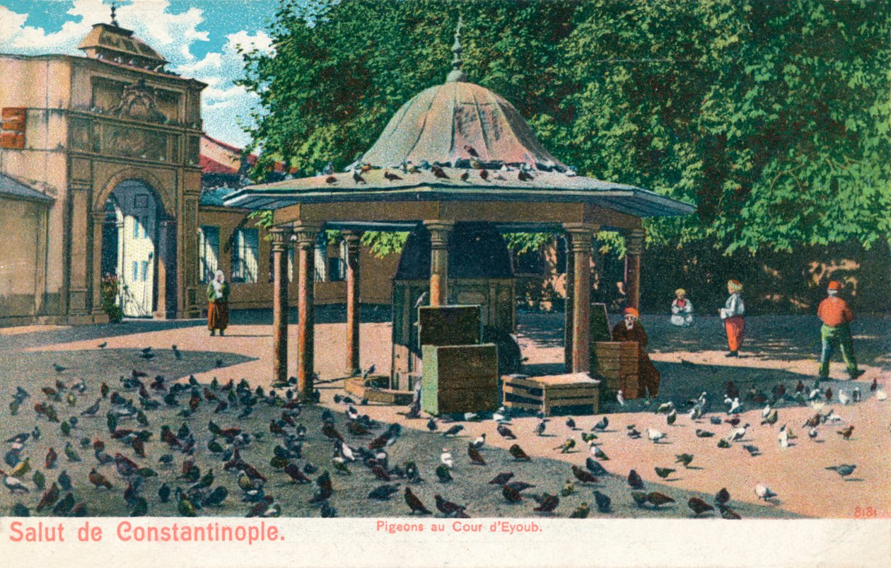 Salut de Constantinople - Holubi u dvora Eyoub, c1900 od Unbekannt