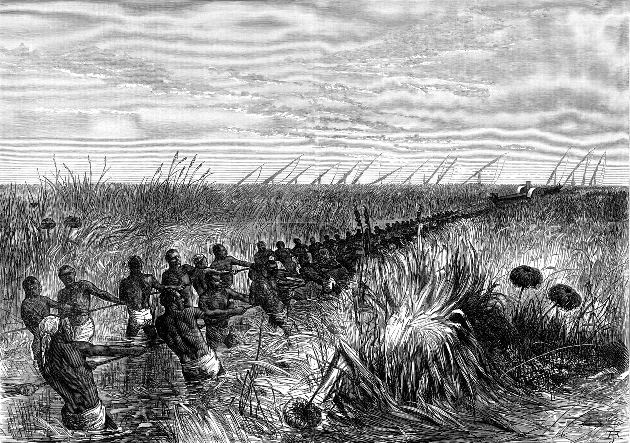 Loď Samuel Bakers tažená říční trávou, 1864 1874 od Unbekannt