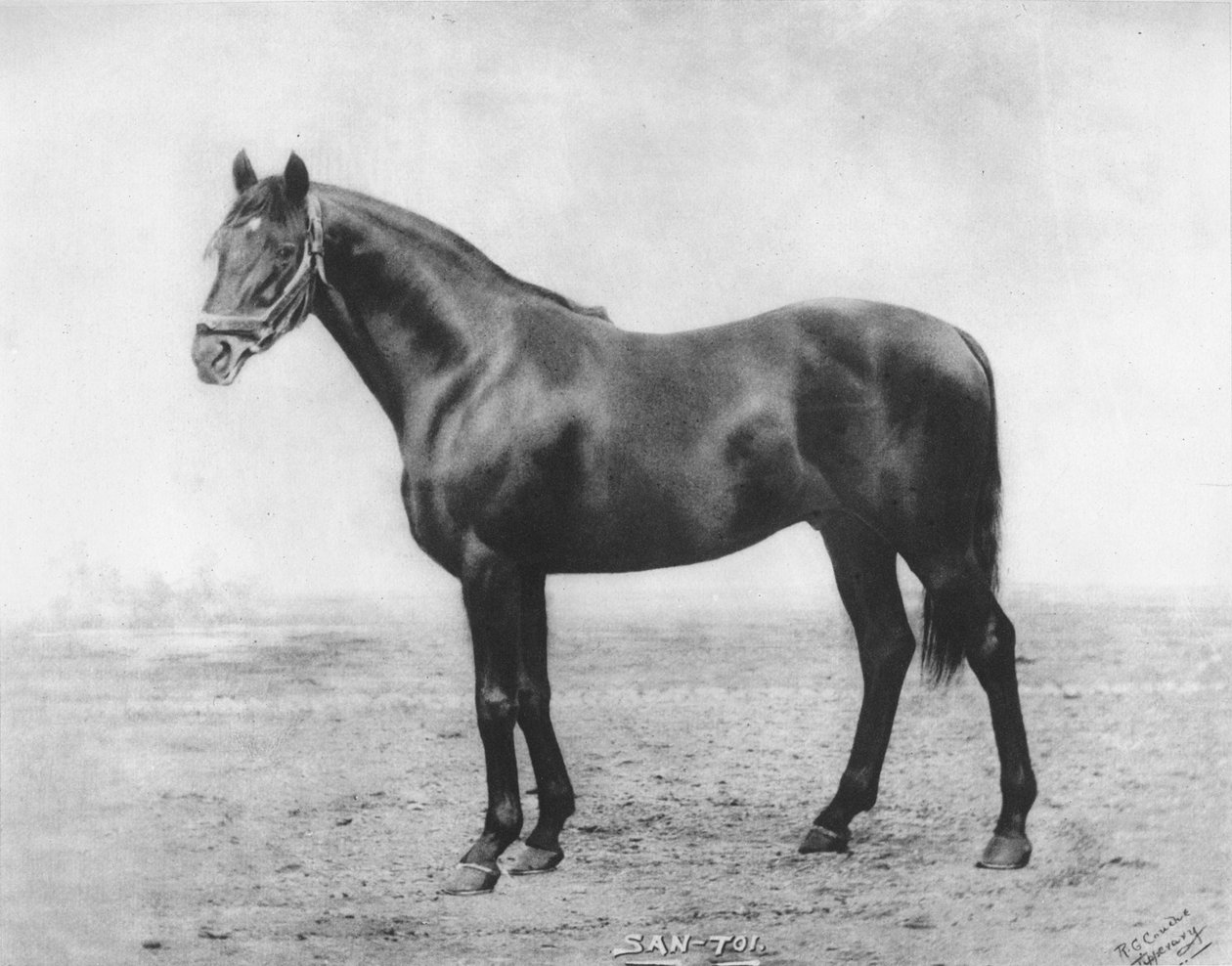 San-Toi, 1911 od Unbekannt