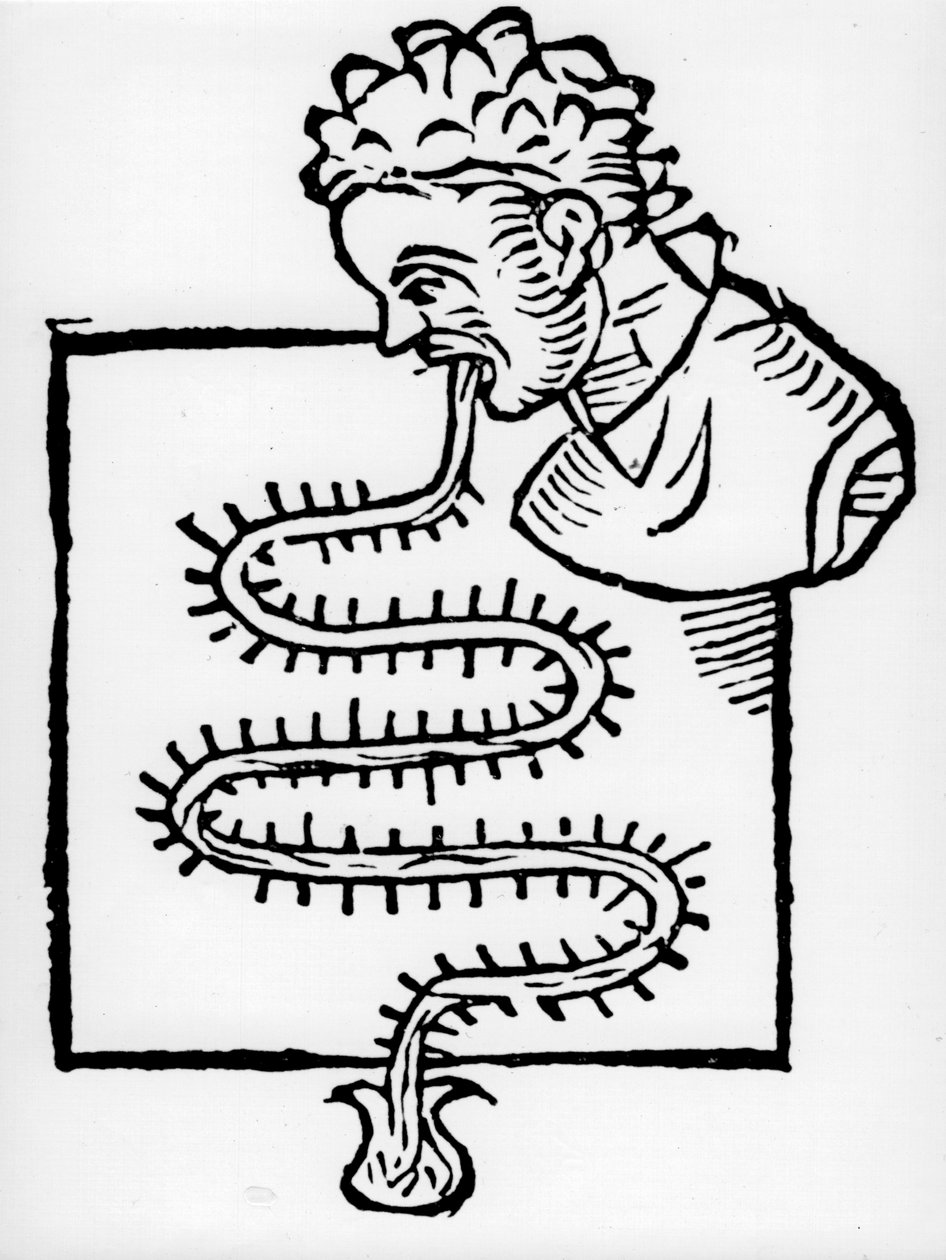 Klinický teploměr Sanctorius, 1612 od Unbekannt