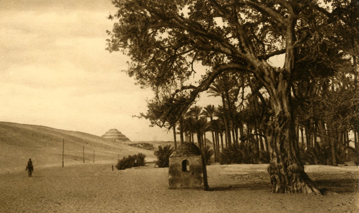 Sakkára – stupňovitá pyramida při pohledu z Sycomoru, c1918-c1939. od Unbekannt