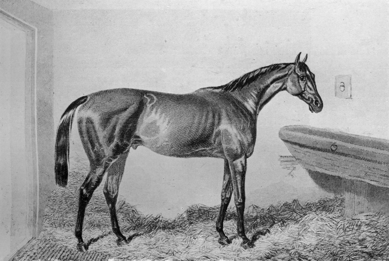 Saucebox, c1840-1880, 1911 od Unbekannt