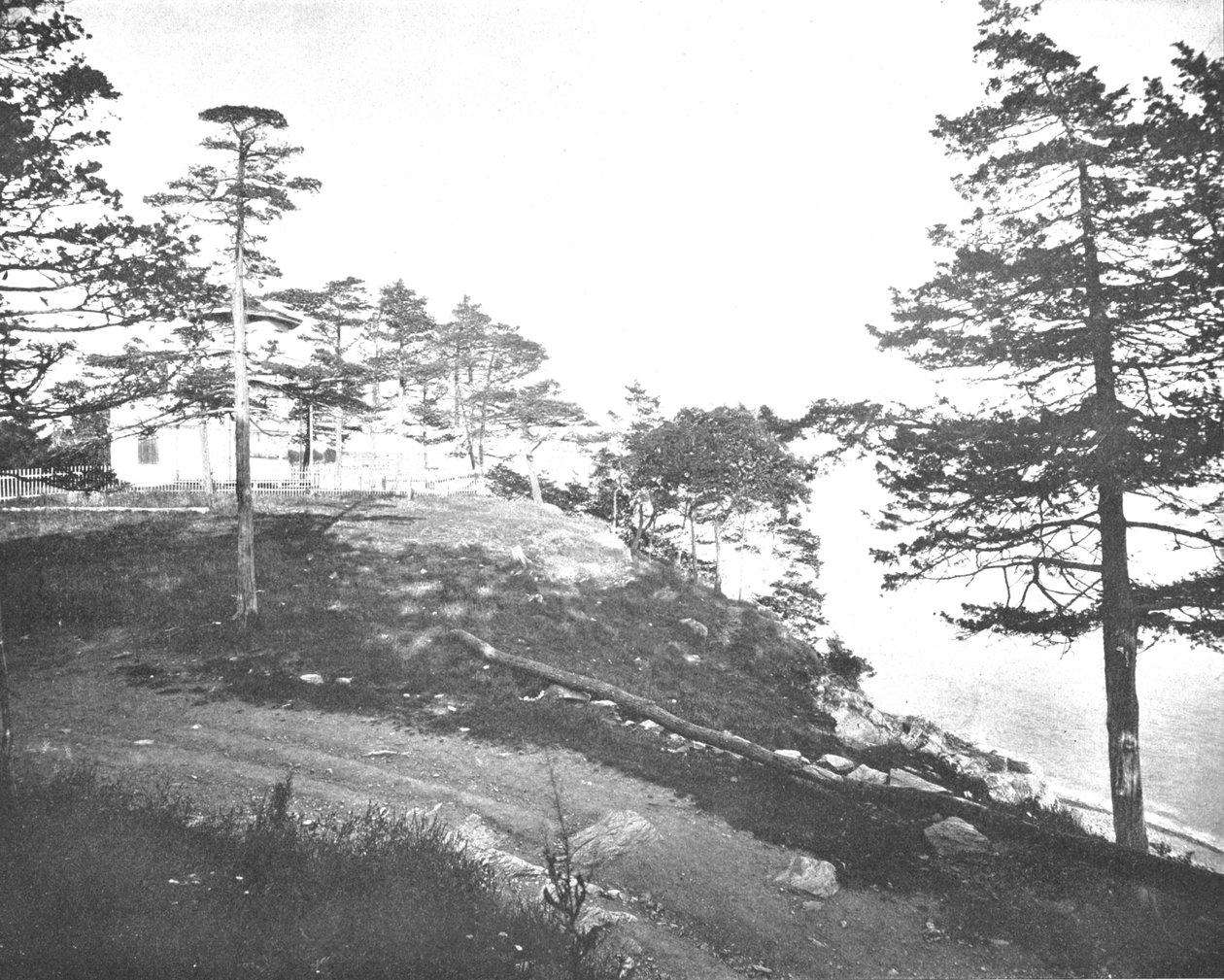 Savin Rock, New Haven, Connecticut, USA, c1900. od Unbekannt