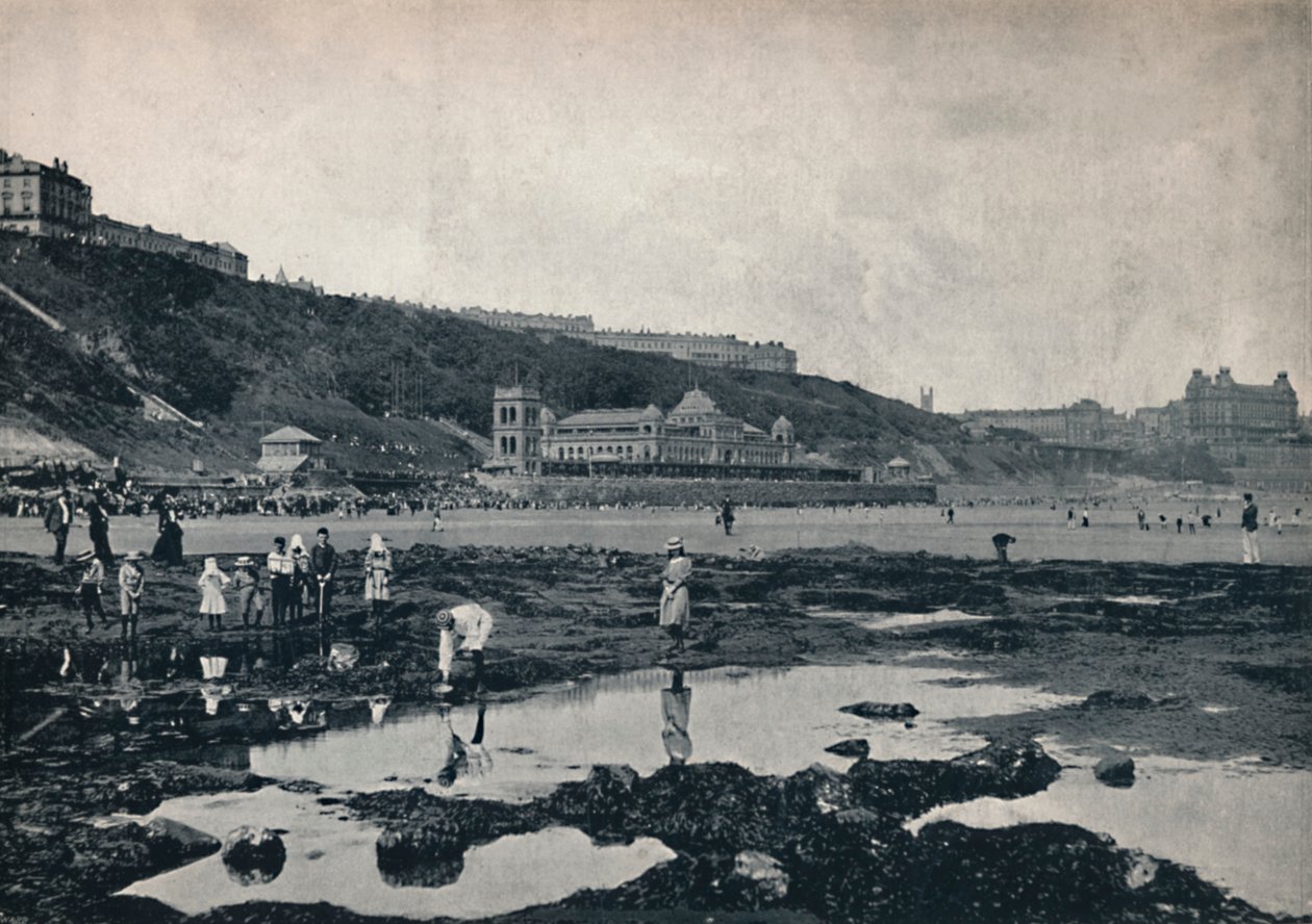 Scarborough - Pohled ze skal, 1895 od Unbekannt