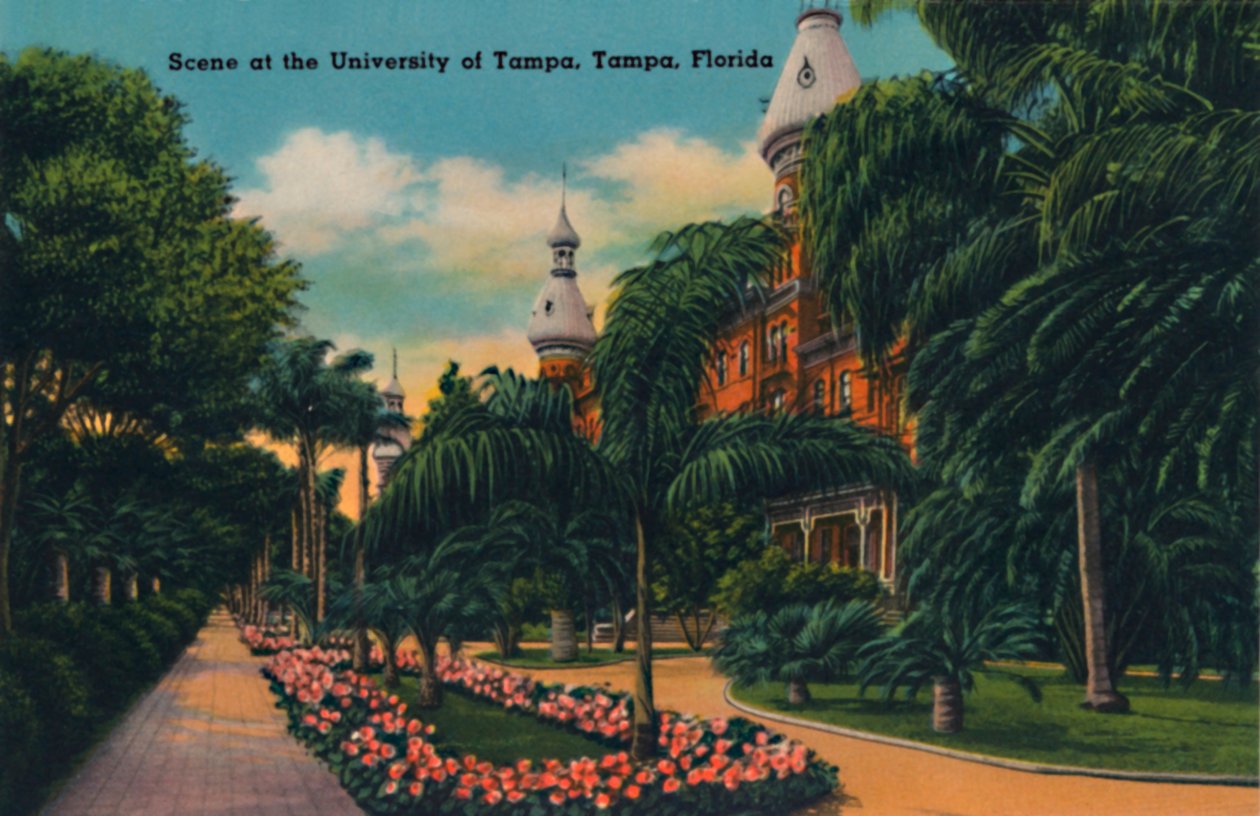 Scéna na University of Tampa, Tampa, Florida, c1940 od Unbekannt