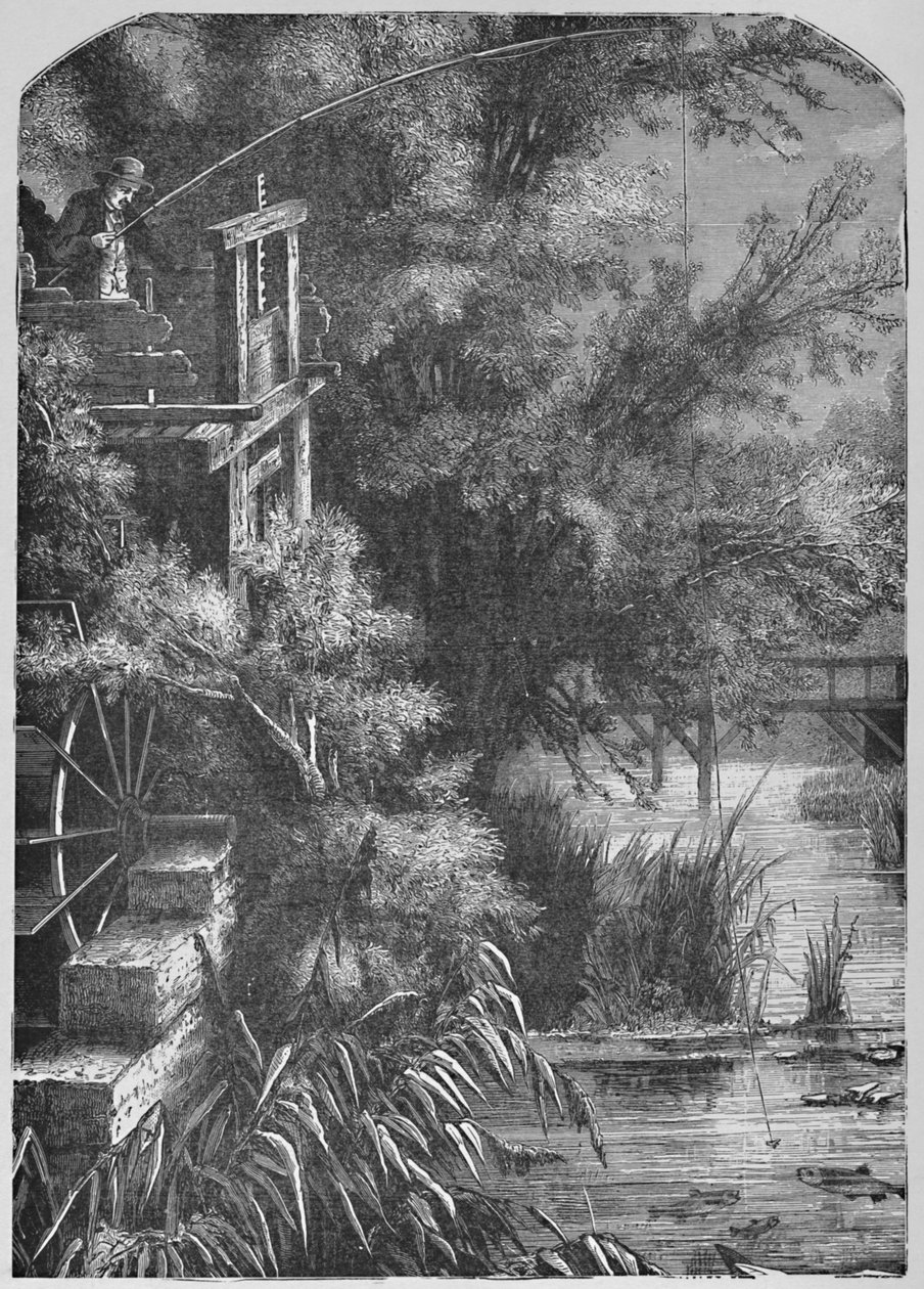 Scéna na potoce, která se vlévá do Malé Juniaty, 1883 od Unbekannt
