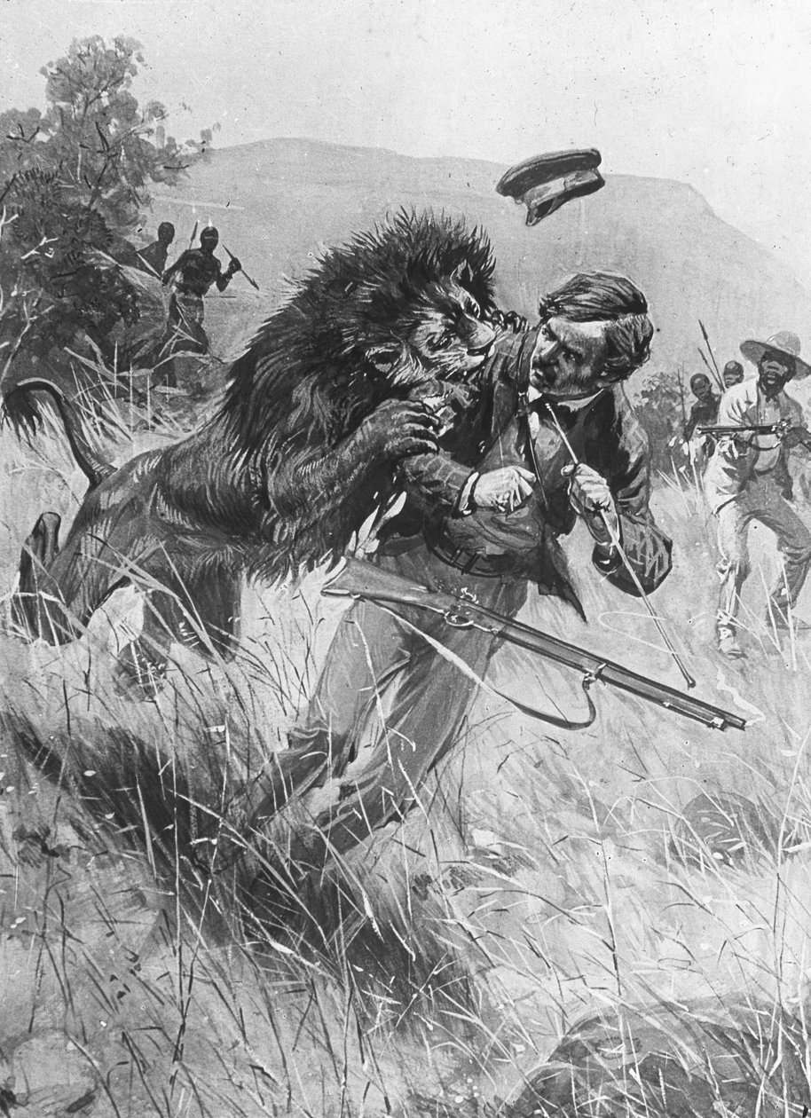 Skotský misionář a průzkumník David Livingstone byl napaden lvem, Afrika, 19. století od Unbekannt