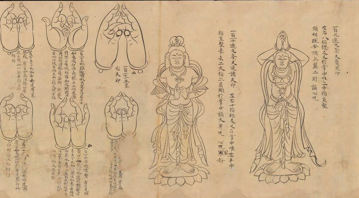 Svitek Mudras, 11.-12. století. od Unbekannt