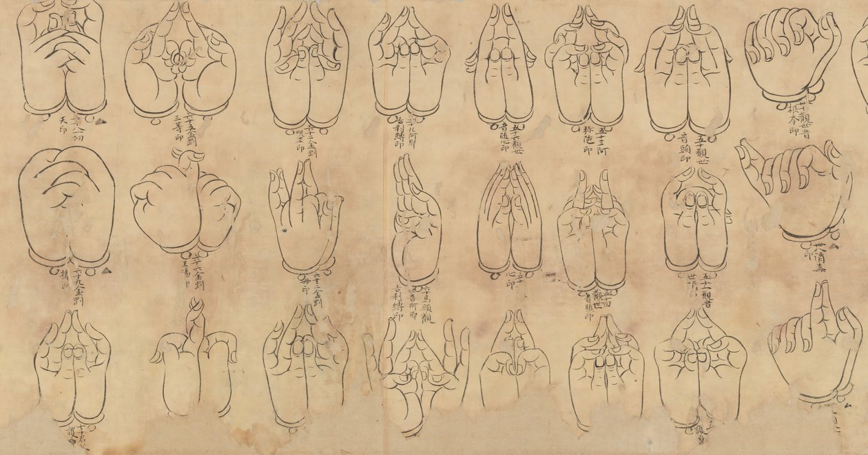 Svitek Mudras, 11.-12. století. od Unbekannt