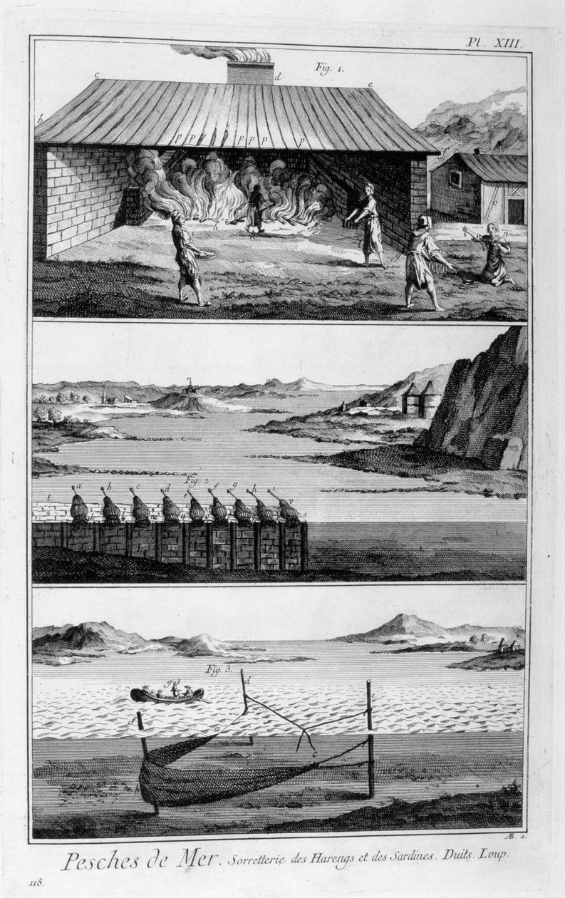 Mořský rybolov, sledě a sardinky, 1751-1777 od Unbekannt