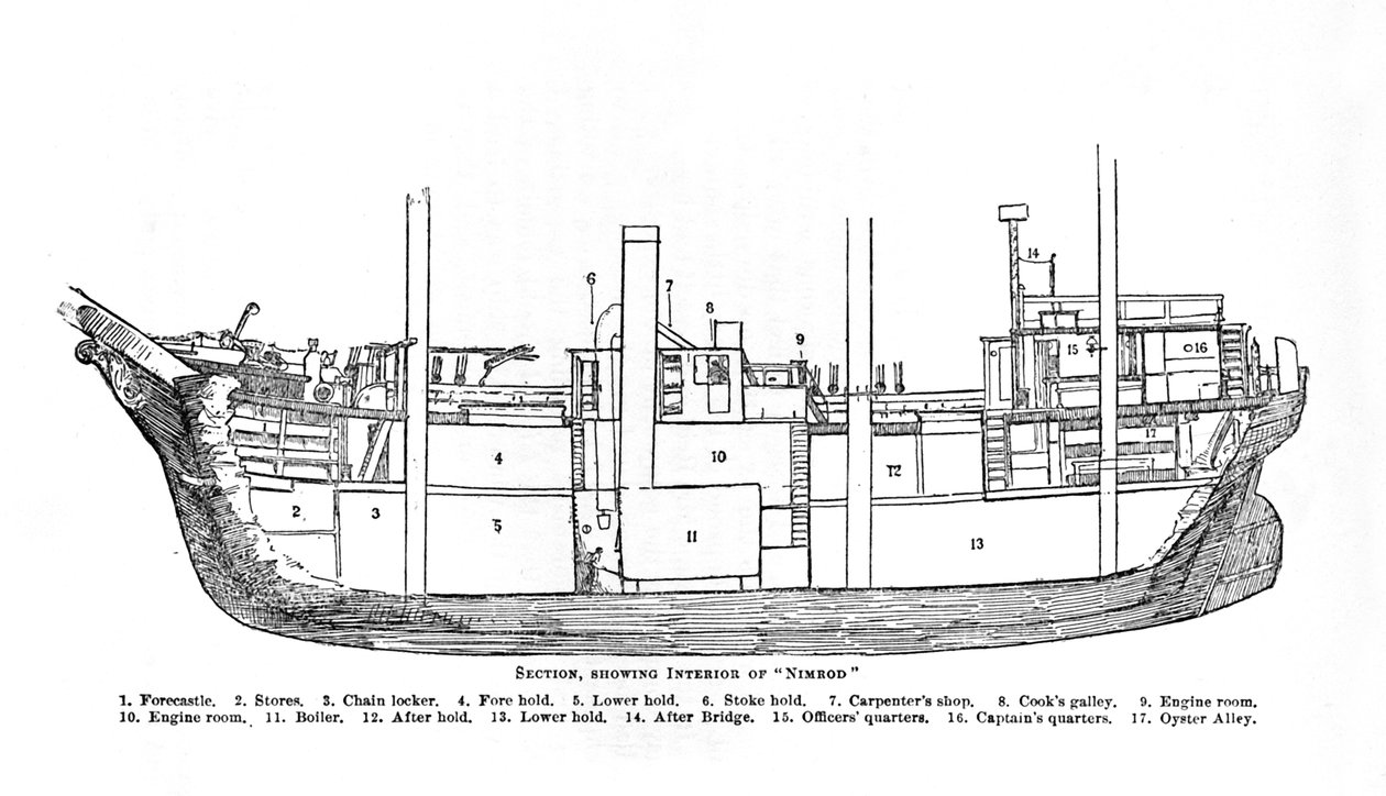 Sekce, zobrazující interiér Nimrod., 1909 od Unbekannt