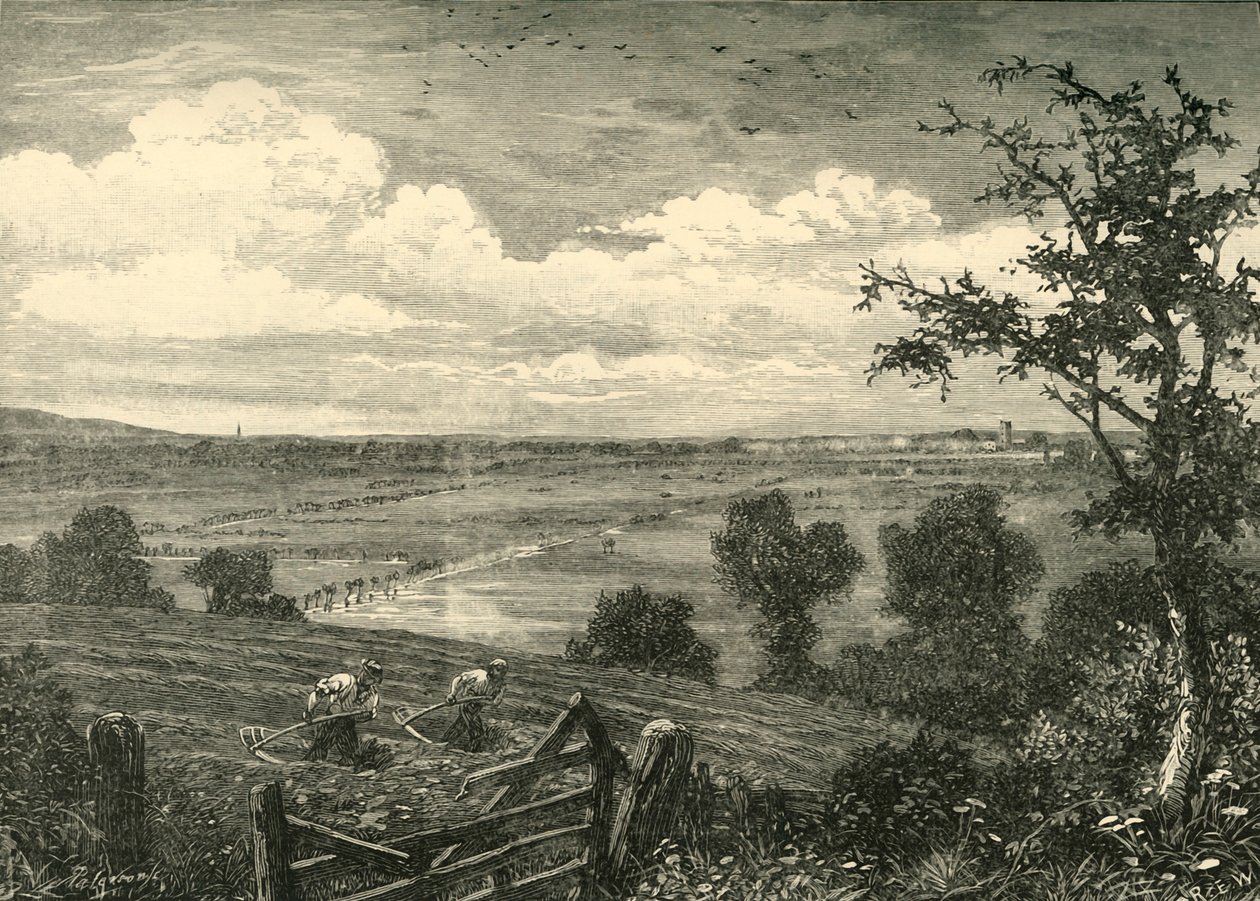 Sedgemoor, z Middlezoy, 1898. od Unbekannt